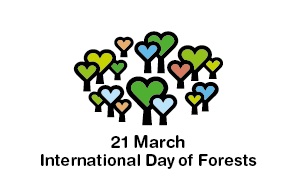 Mednarodni dan gozdov: Ali se zavedamo pomena gozdov?